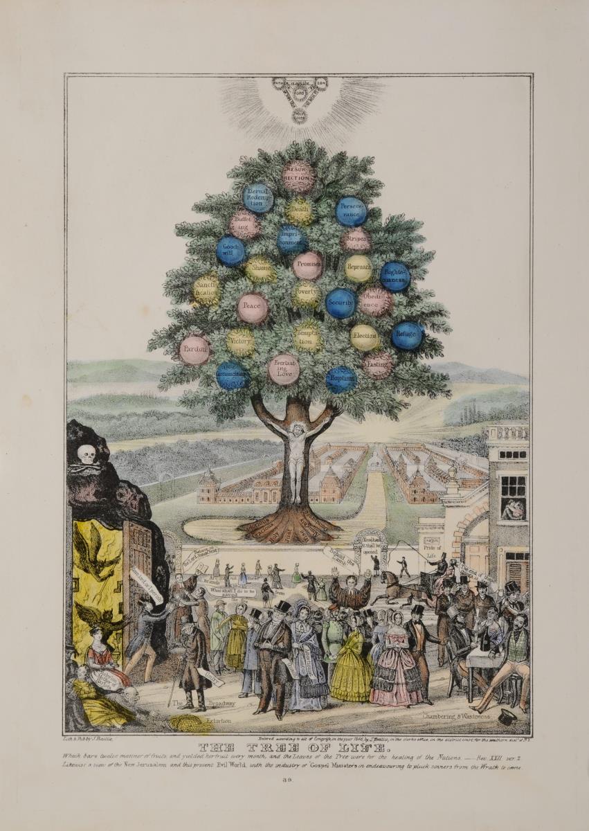 The Tree of Life.