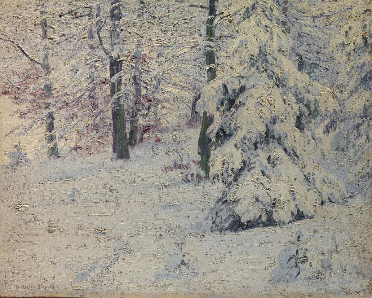 Wald im Winter