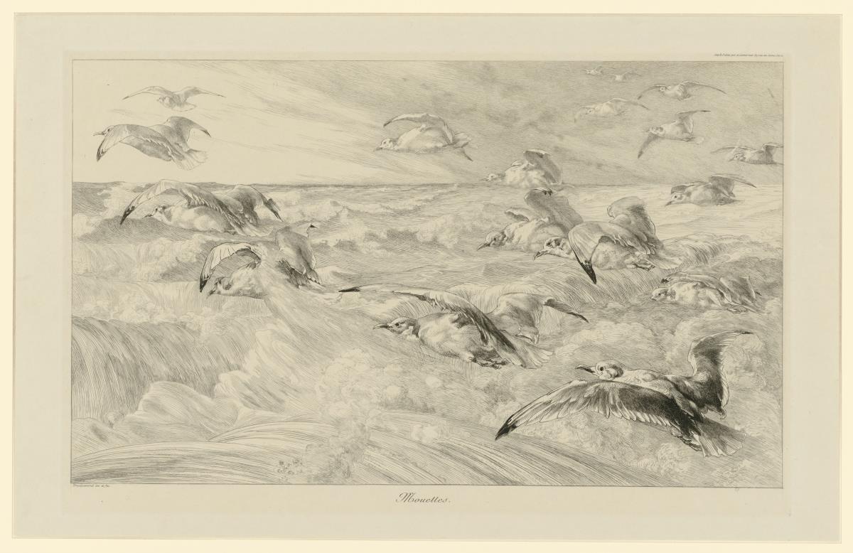 Canards surpris