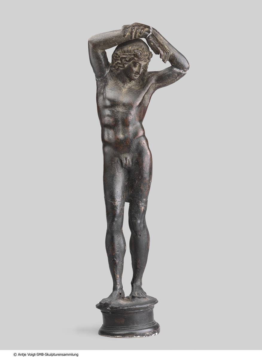 Narcissus