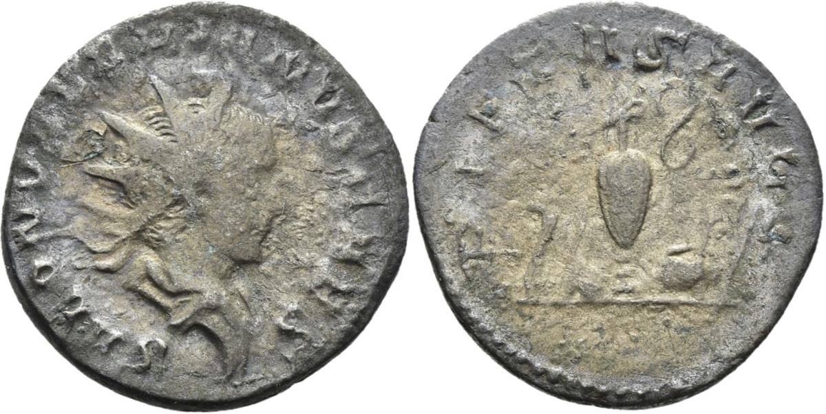 Saloninus
