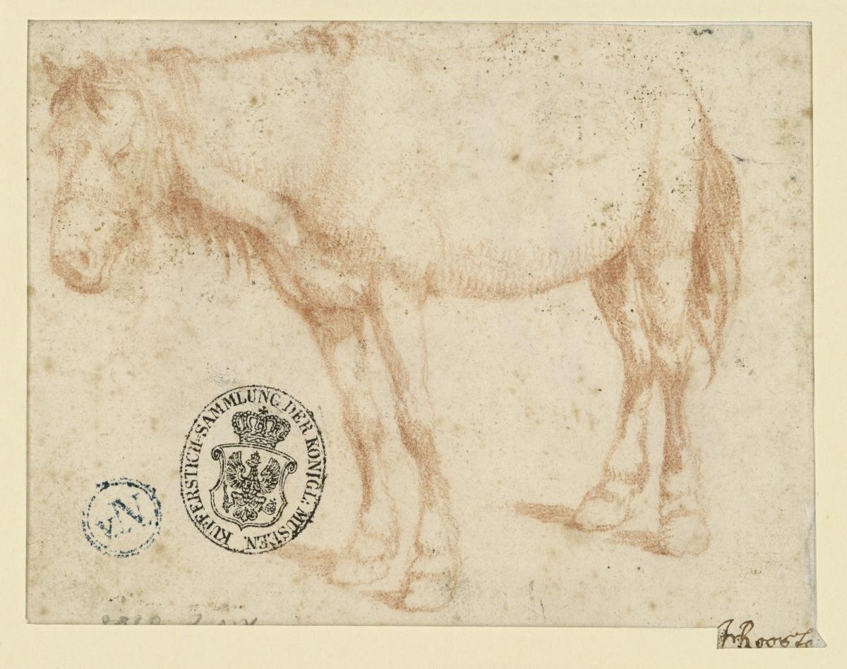 Stehendes Pferd, nach links