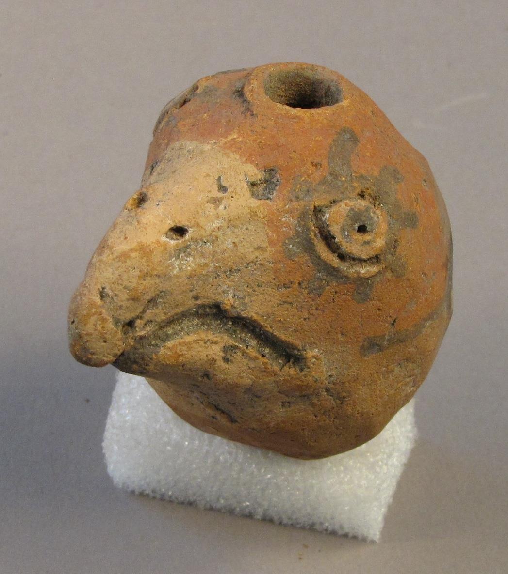 Vogelkopf