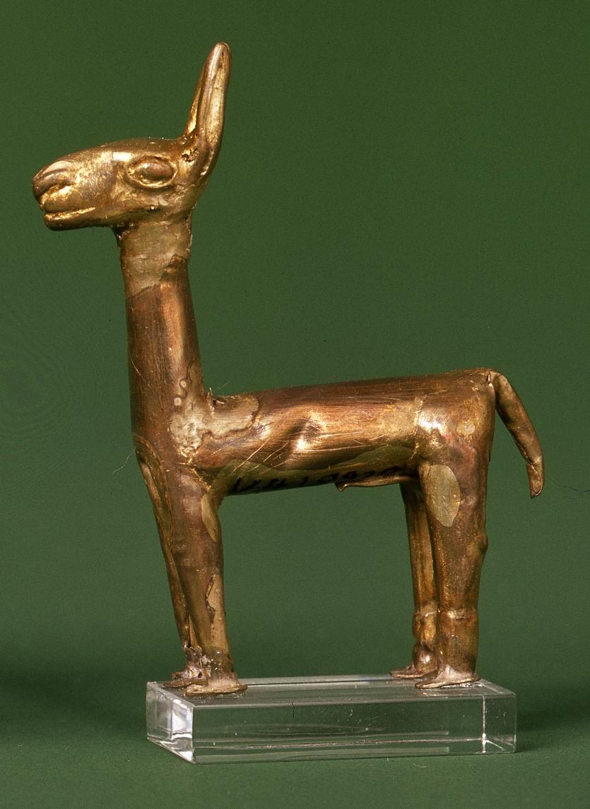 Lama