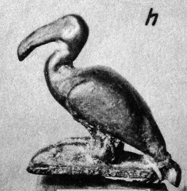 Ibis. "Sitzender Flamingo"