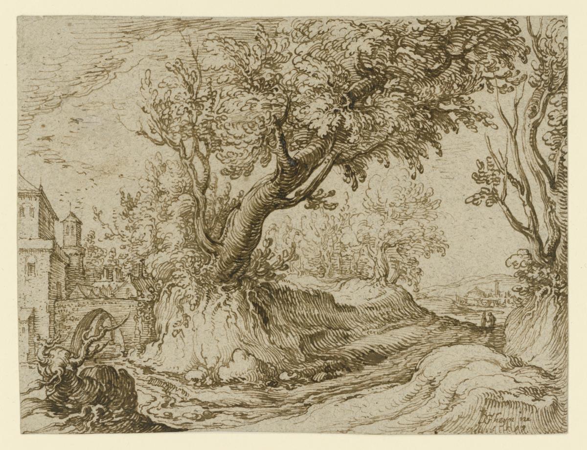 Landschaft mit großem Baum an einer Straße