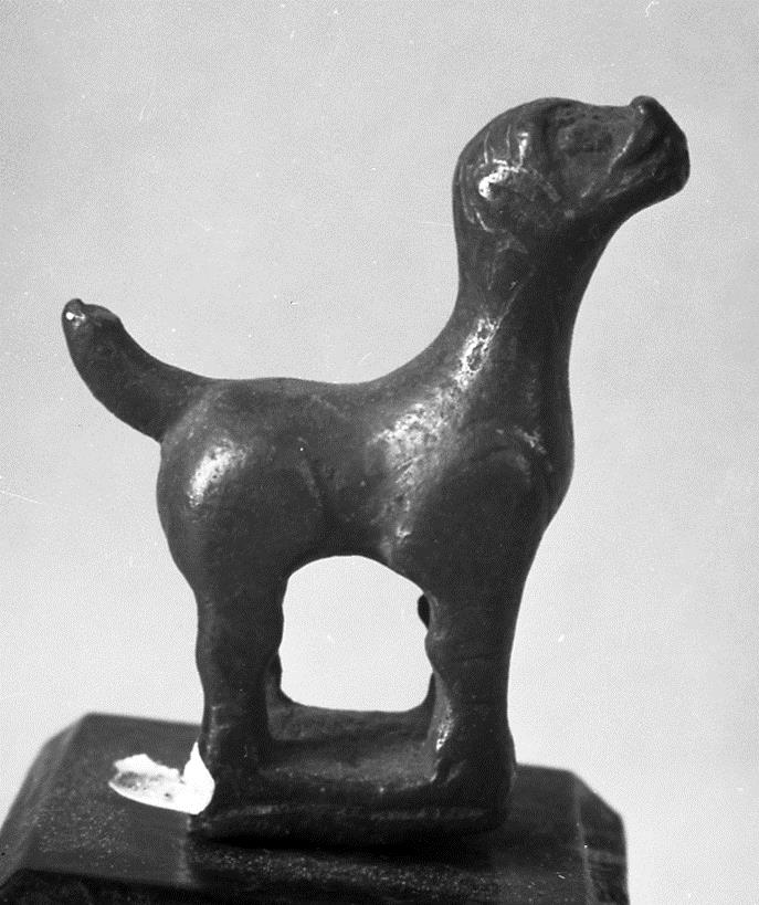 Hund