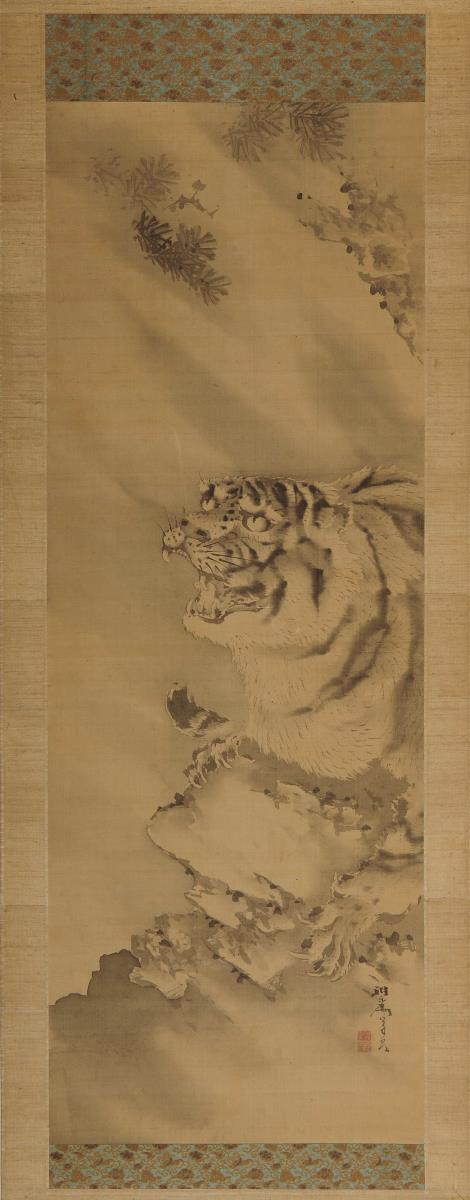 Tiger, einem Regenschauer trotzend