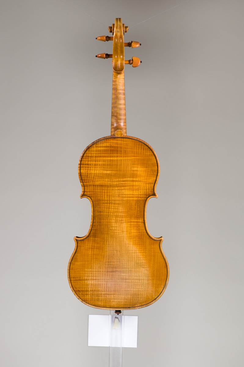 Violine