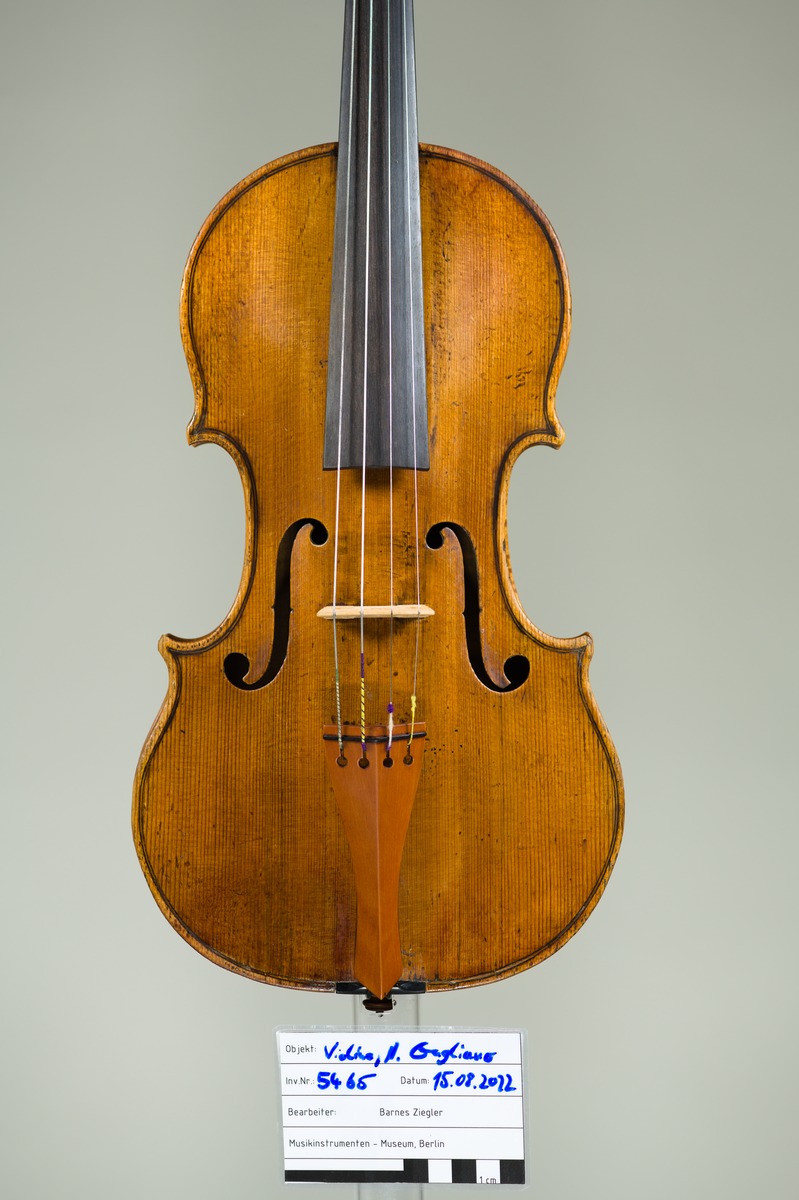 Violine