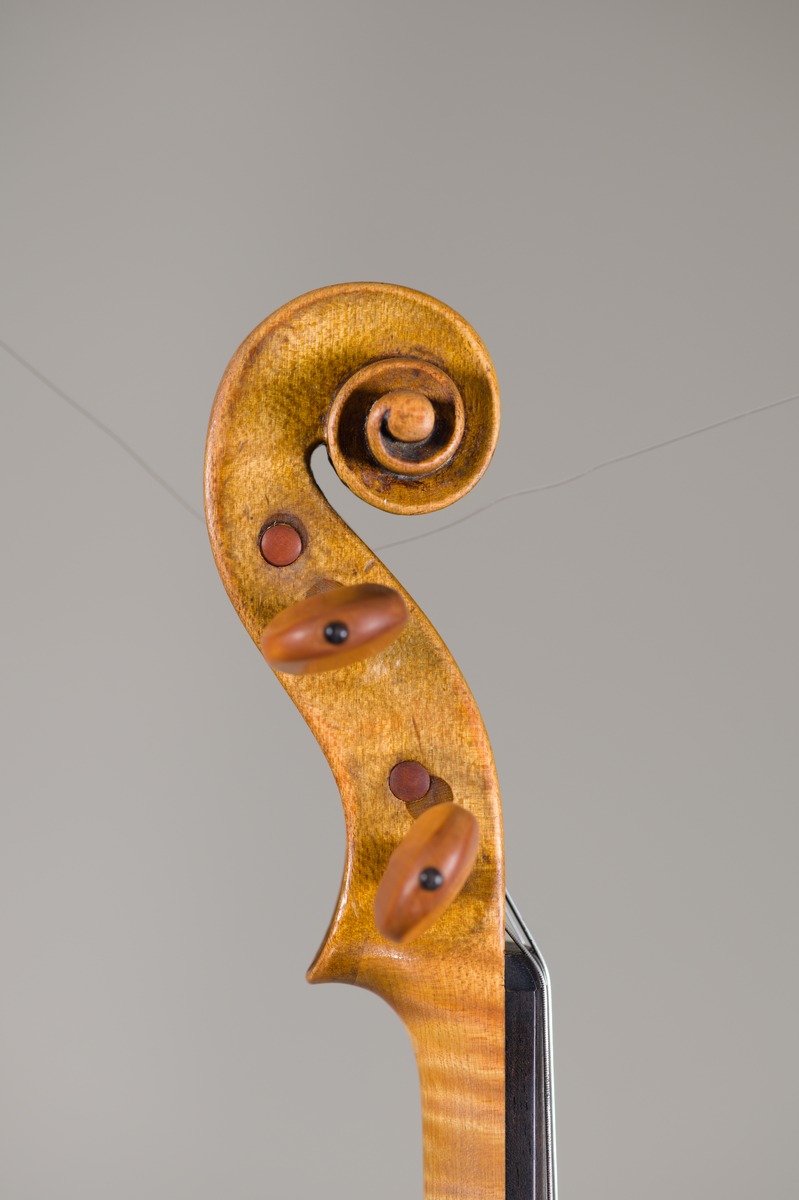 Violine