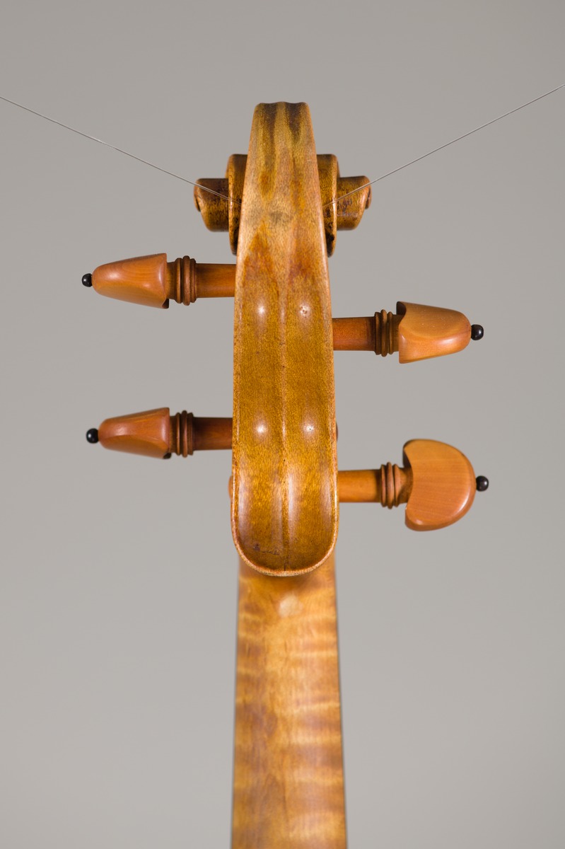 Violine