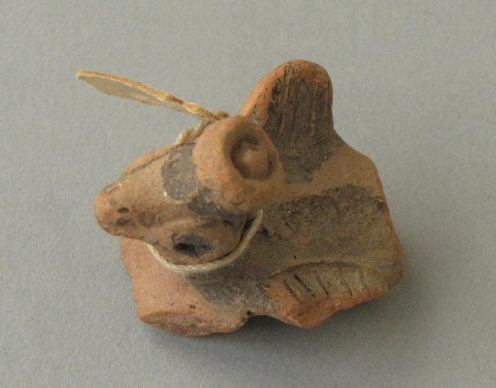Vogelkopf