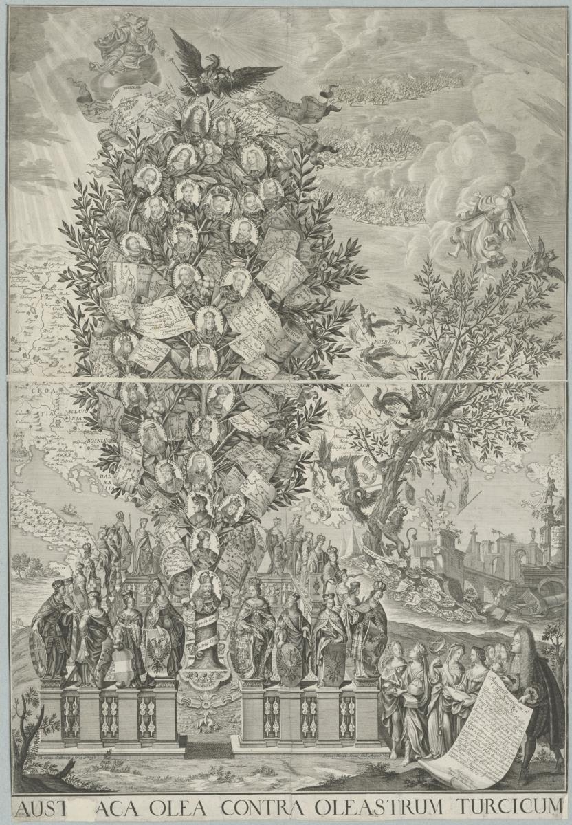 Austriaca olea contra oleastrum Turcicum