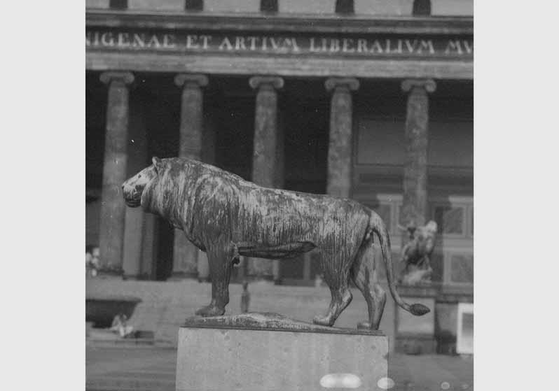 Blick auf die Plastik "Stehender Löwe" von August Gaul vor dem Hintergrund des Alten Museums