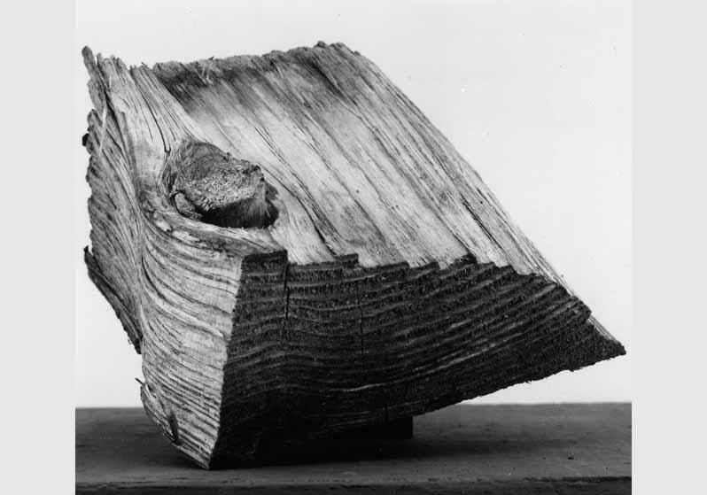 Nahaufnahme eines Balken aus dem Fundament des Alten Museums