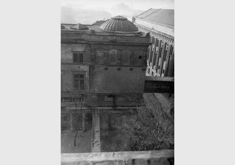 Blick auf das Dach des Neuen Museums