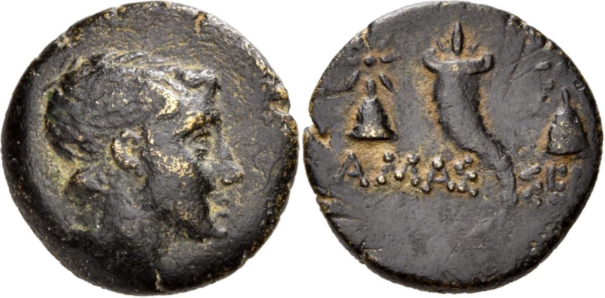 Amaseia