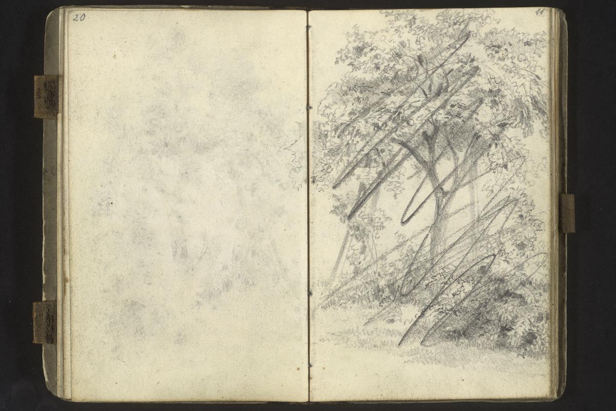 Baumstudie (verworfen)