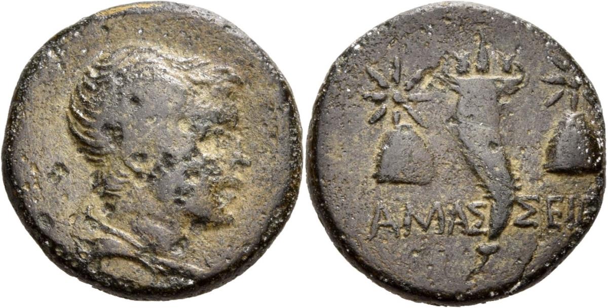 Amaseia