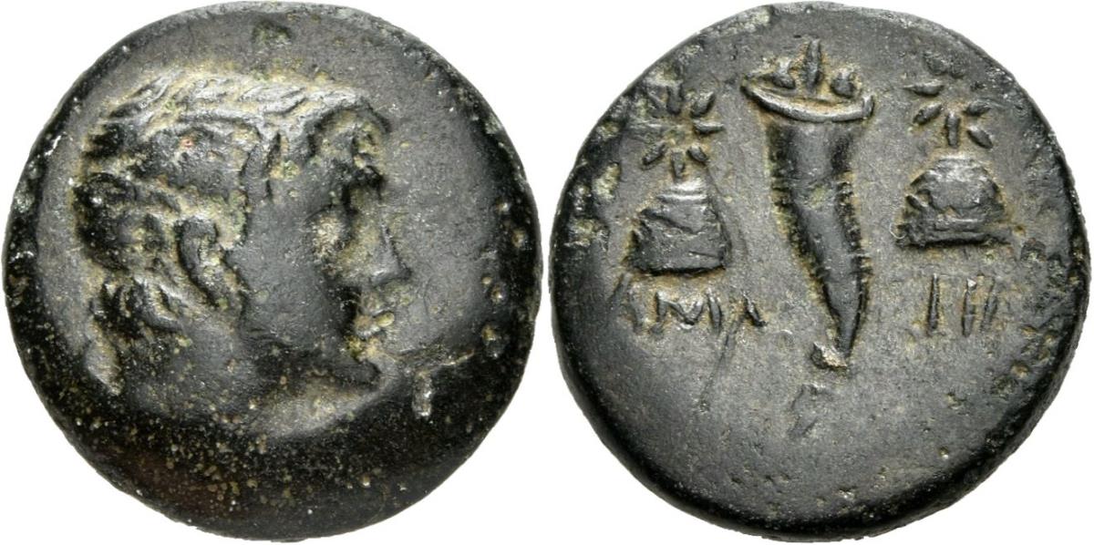 Amaseia