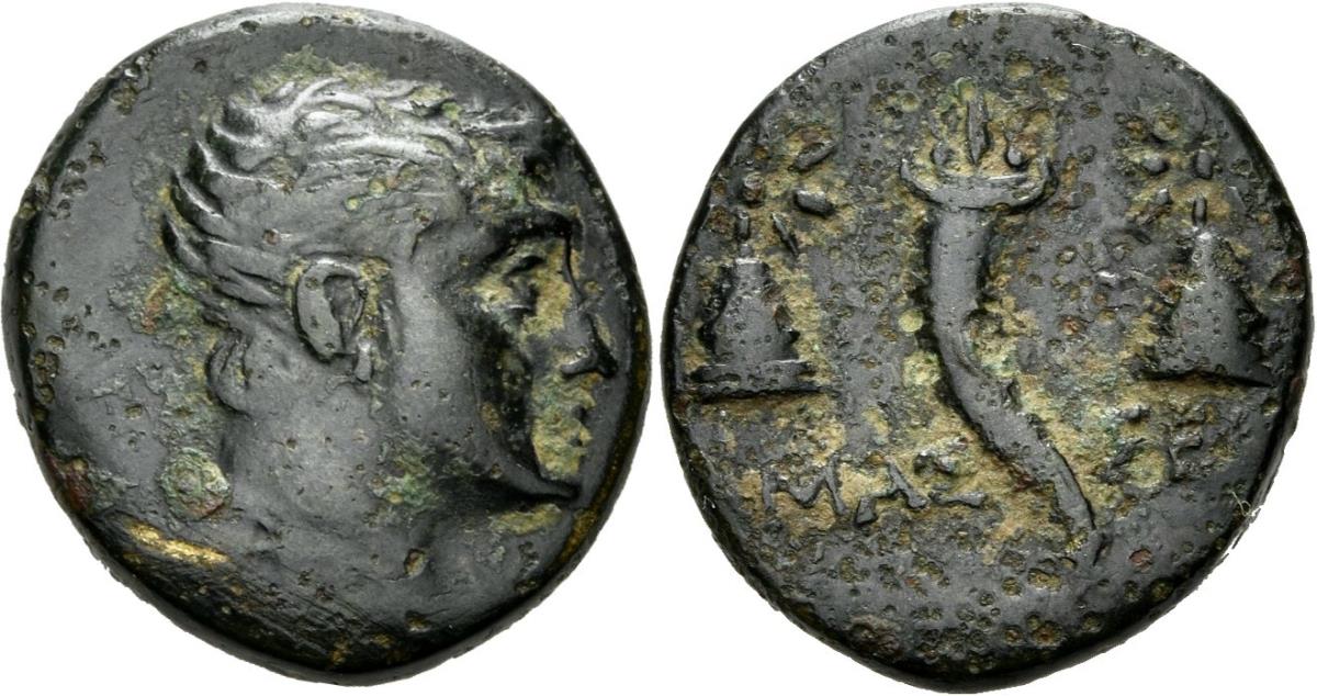 Amaseia