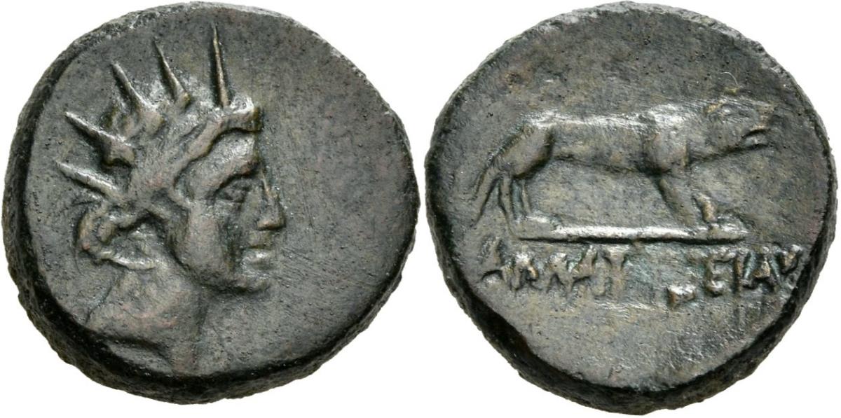 Amaseia