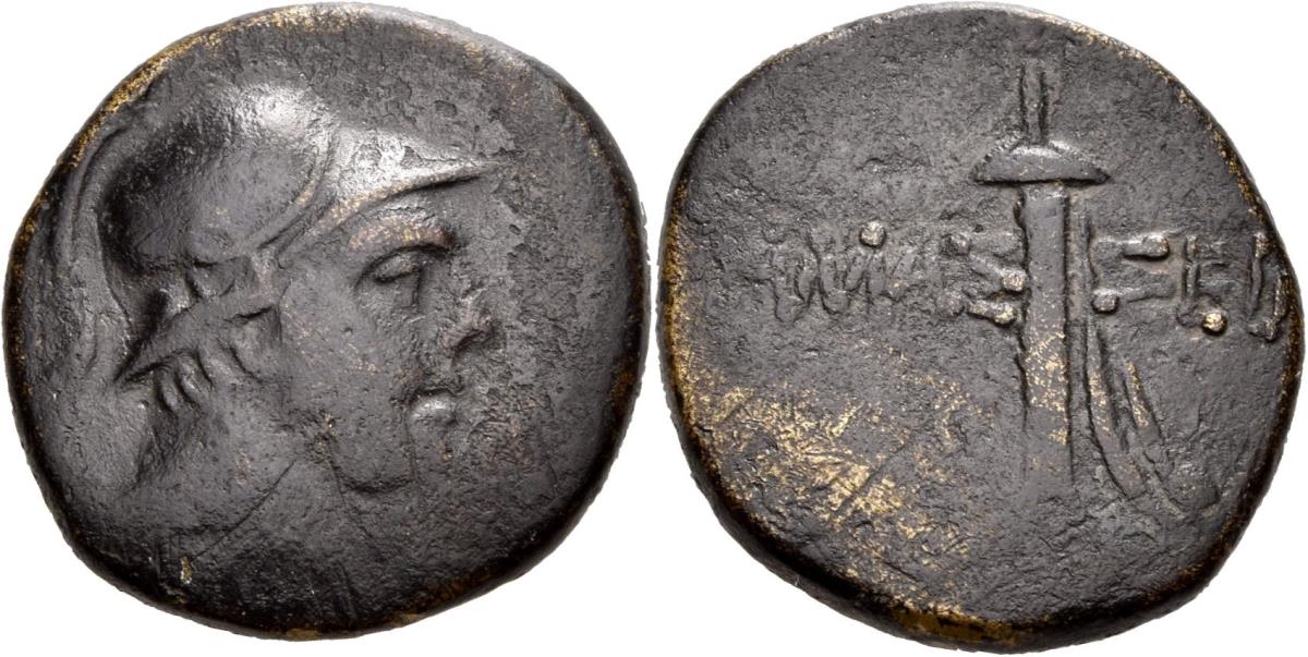 Amaseia