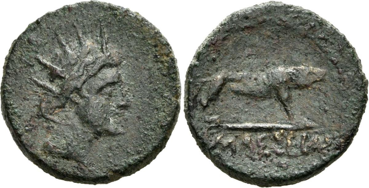Amaseia