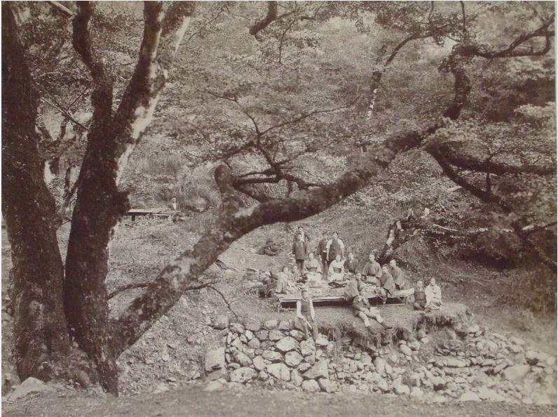 Ahorn Herbstlaub Japan