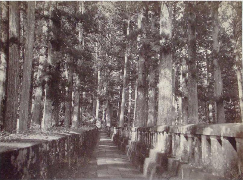 Nikko [...] Aufgang zum Grabmal Jejatus