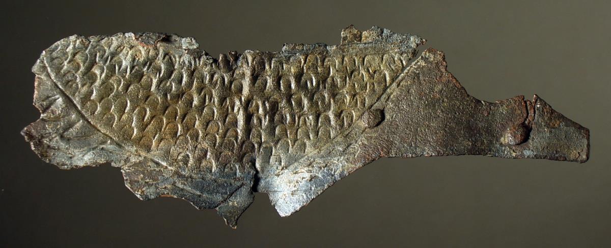 Blechfragment mit gestanzten Schuppen. Zwei Niete mit Resten des untergelegten Bleches
