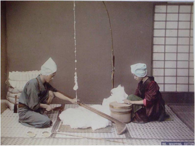 Whipping Cotton