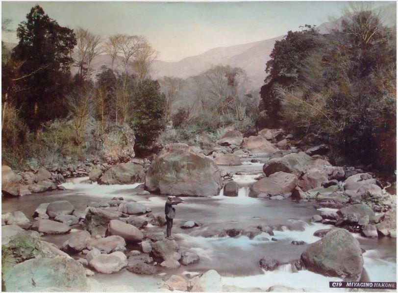 Miyagino Hakone