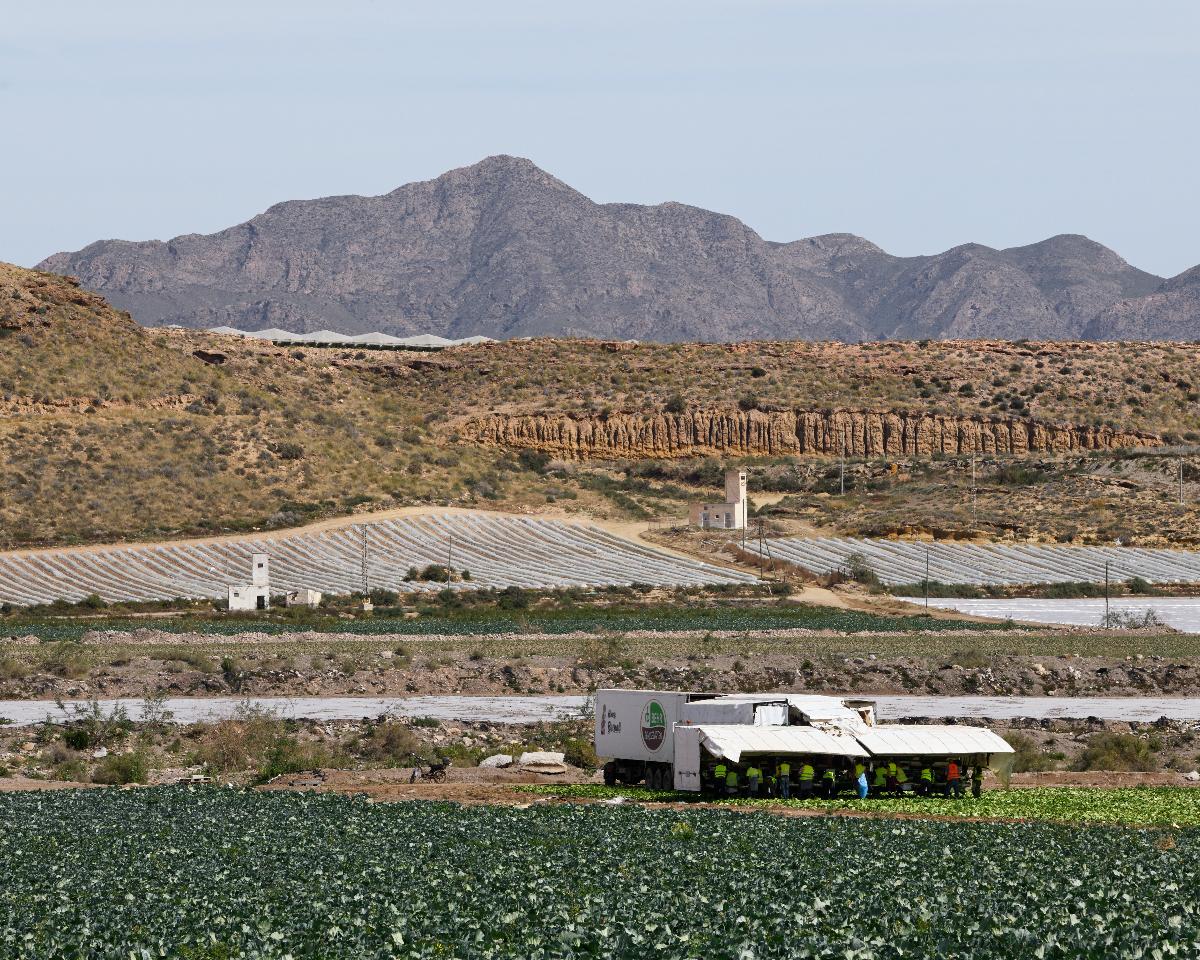 Ernte, Puntas de Calnegre