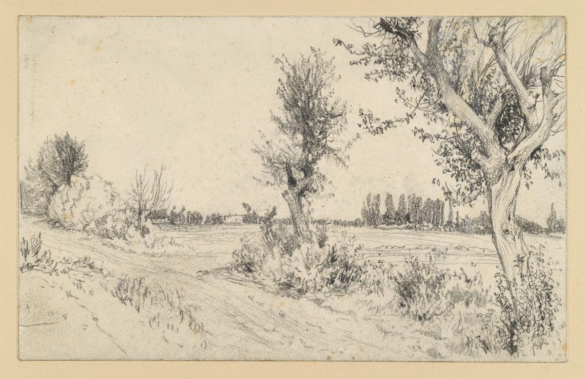 Landschaft mit Weg, Weiden und Wiese