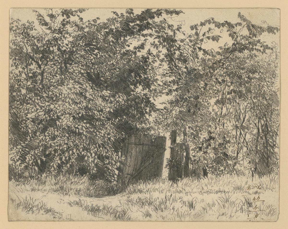 Halb geöffnete Brettertür in verwilderter Zaunhecke