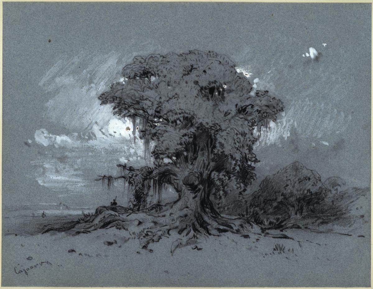Alter Baum
