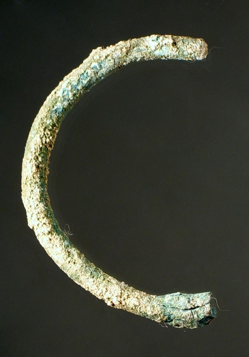 "Bruchstücke eines Rings"