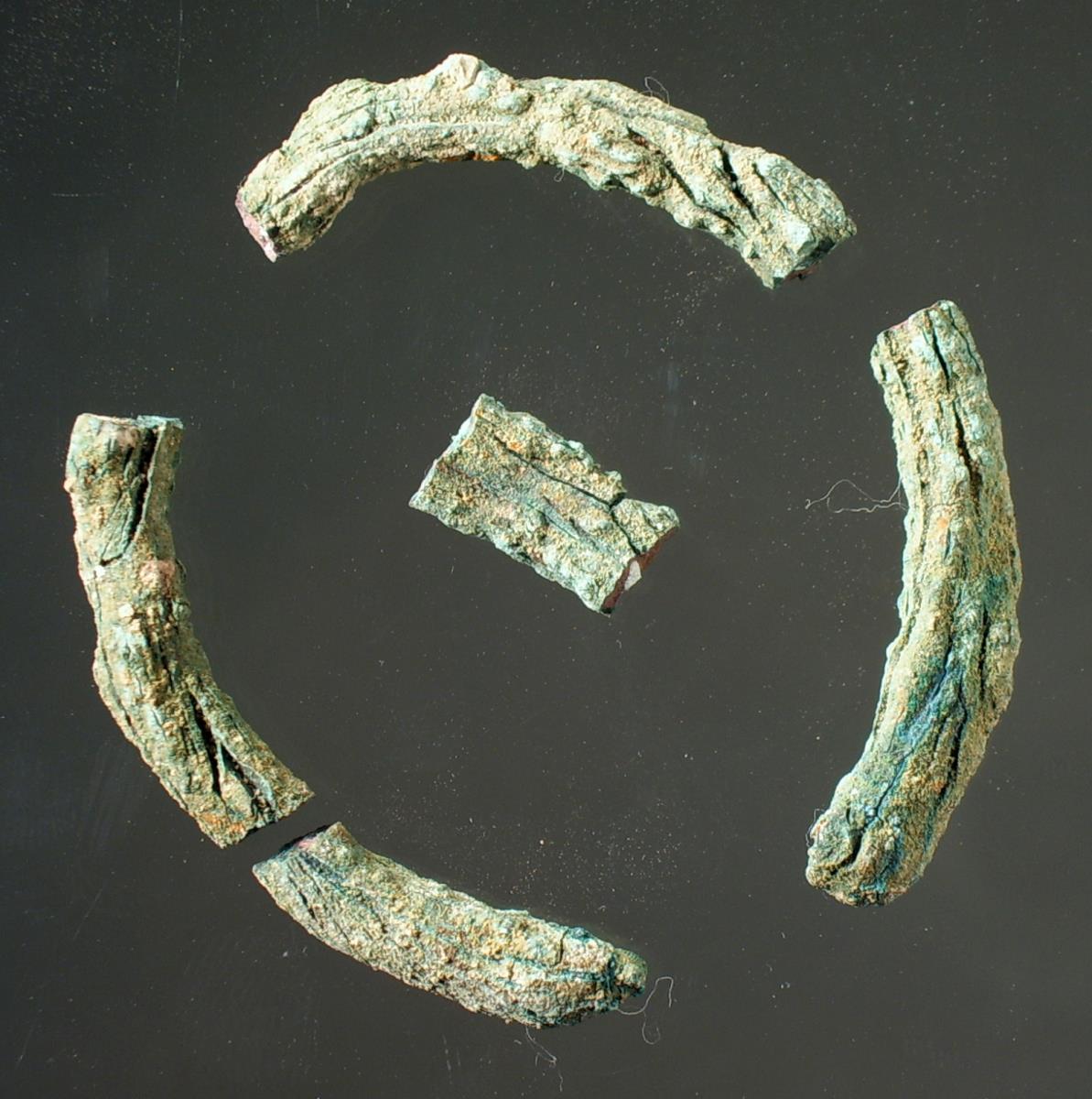 Bruchstücke von Ringen