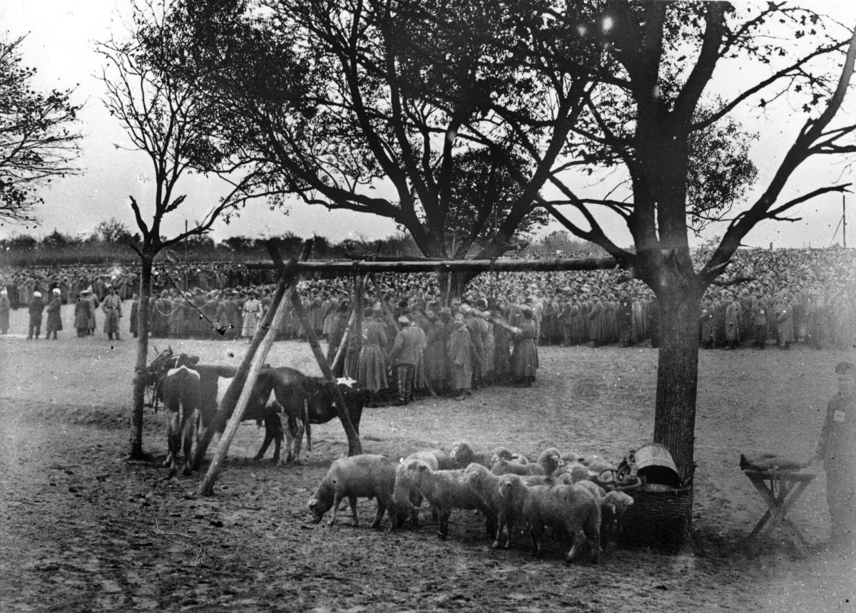 Lagerleben Bairam 1915, Schlachttag im Lager