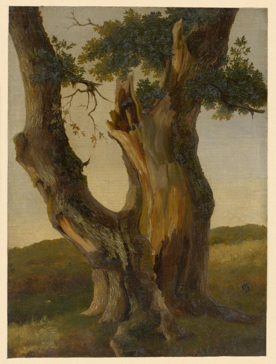 Eichenbaum-Studie