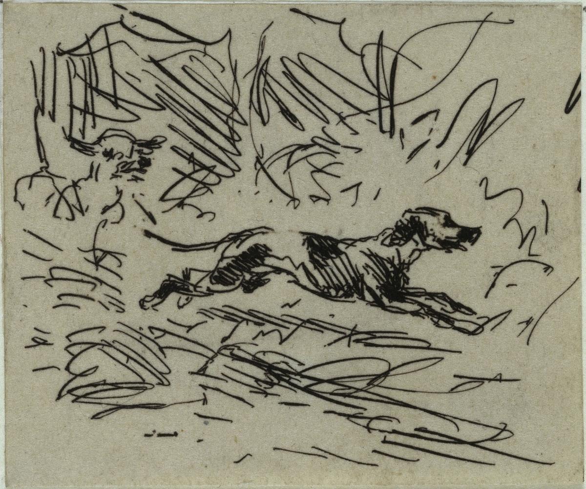 Hund