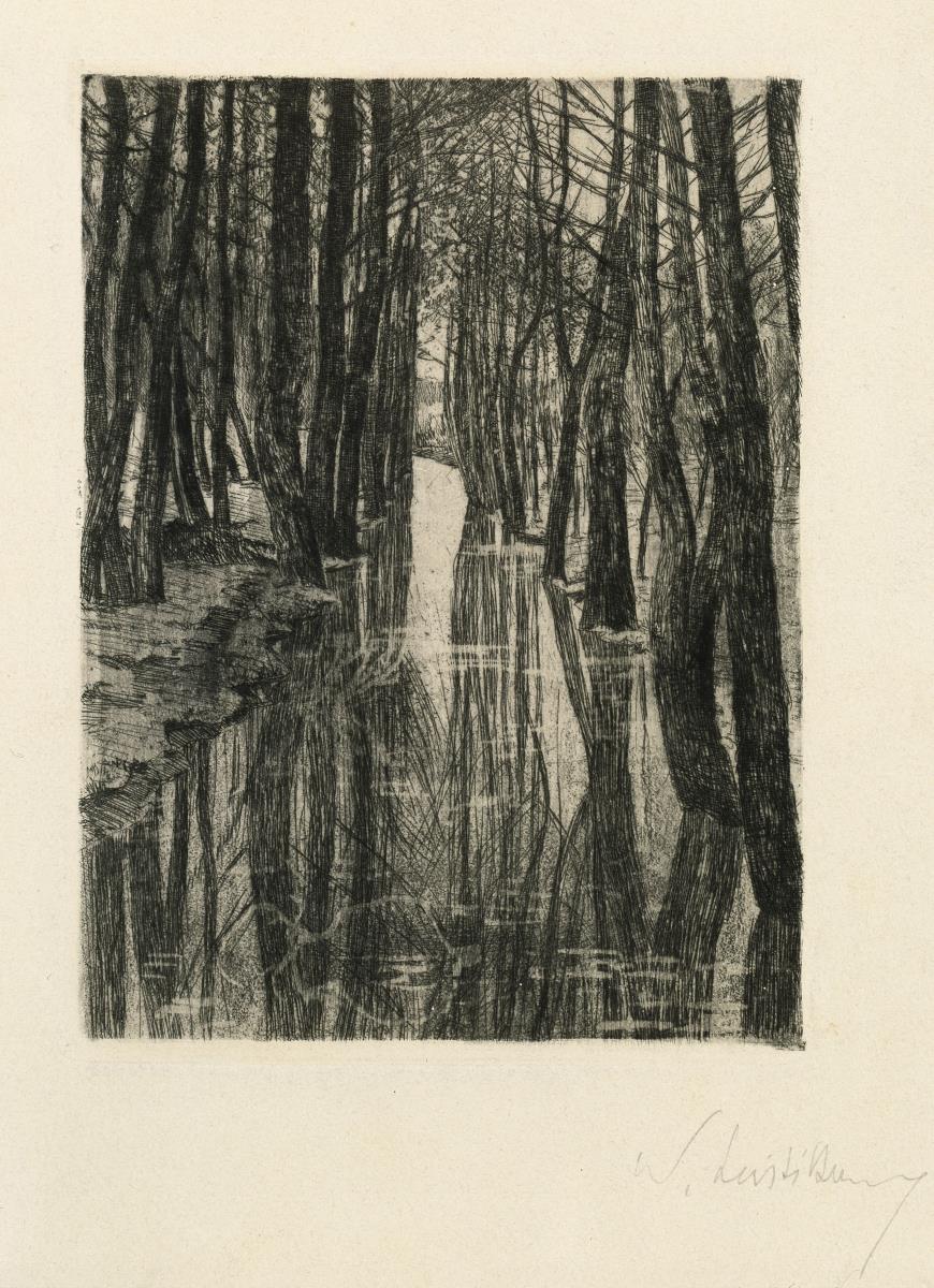 Wasserloch (auch "Canal")