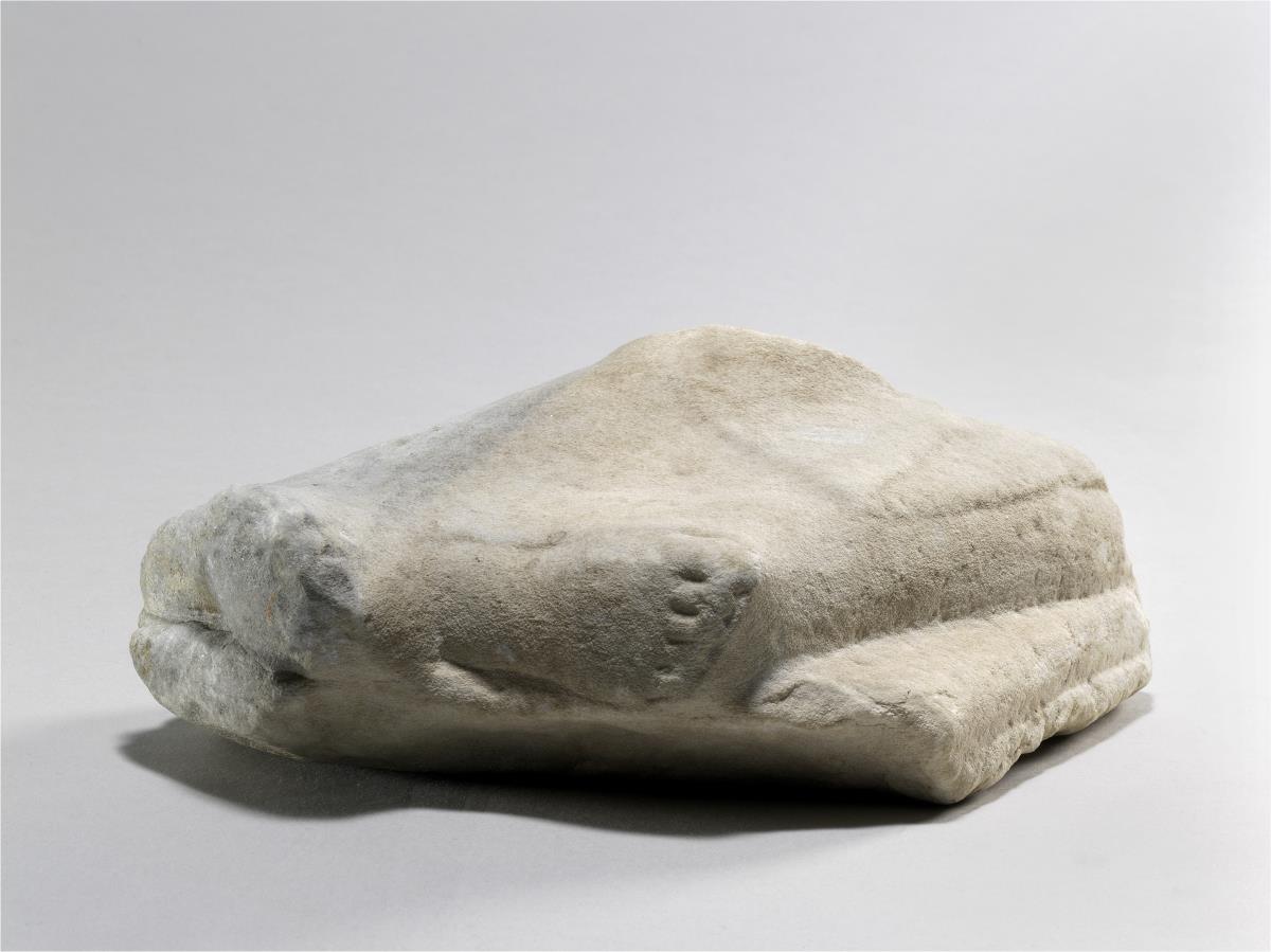 Fussfragment