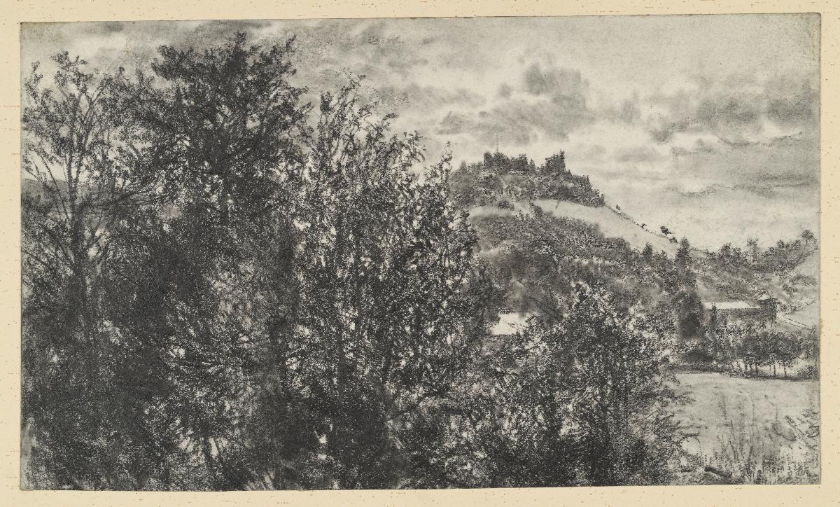 Blick über ein Gebüsch auf eine Anhöhe in der Ferne (mit Burgruine Bodenlaube?) und Gebäude im Tal