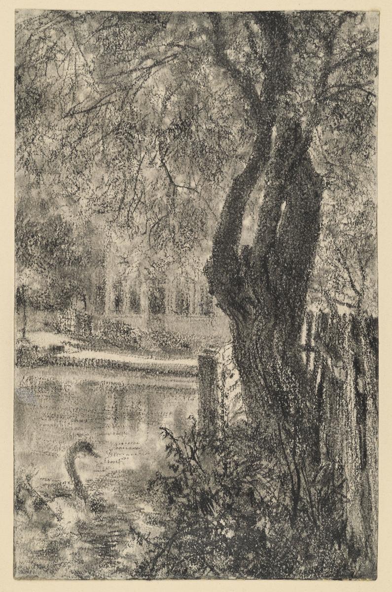 Baum am  Wasser mit Schwan, an gegenseitigen Ufer ein Haus