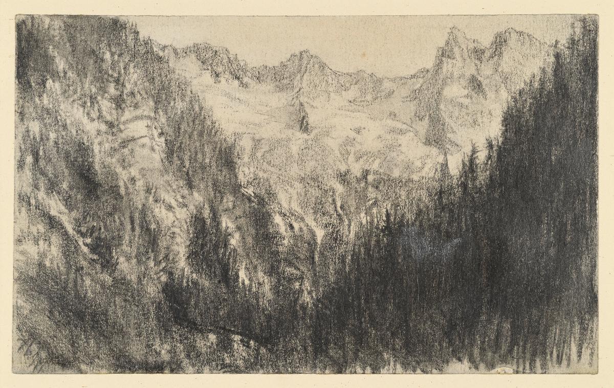 Hochgebirge mit Tannenwaldung im Vordergrund