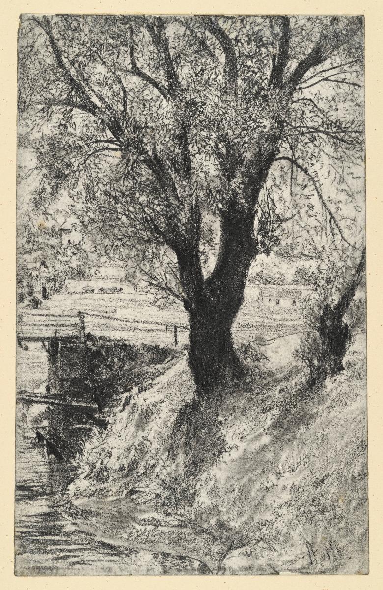 Weide vor der Brücke am Bach