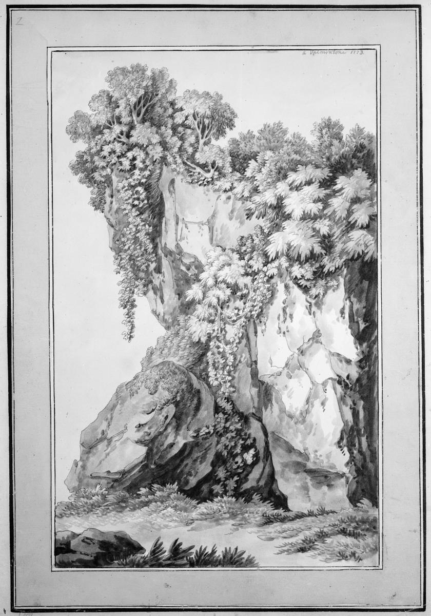 Bewachsene Felsengruppe bei Valmontone